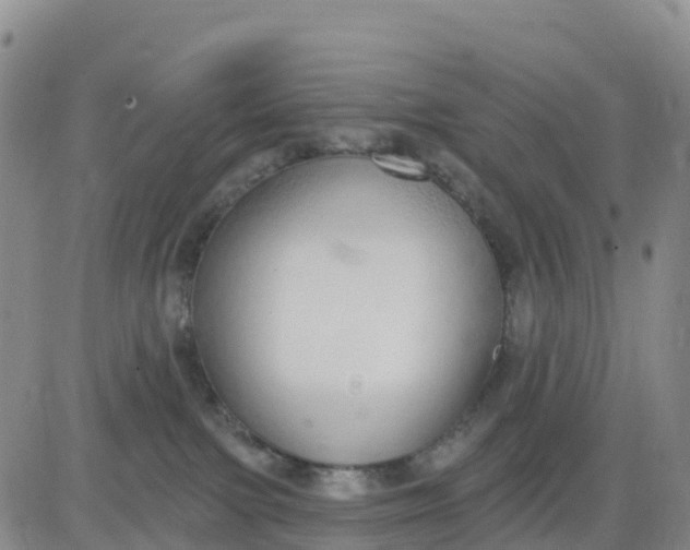 X0000080670091200612301411