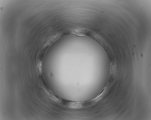 X0000080670094200612301411