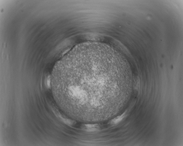 X0000080670095200612301411