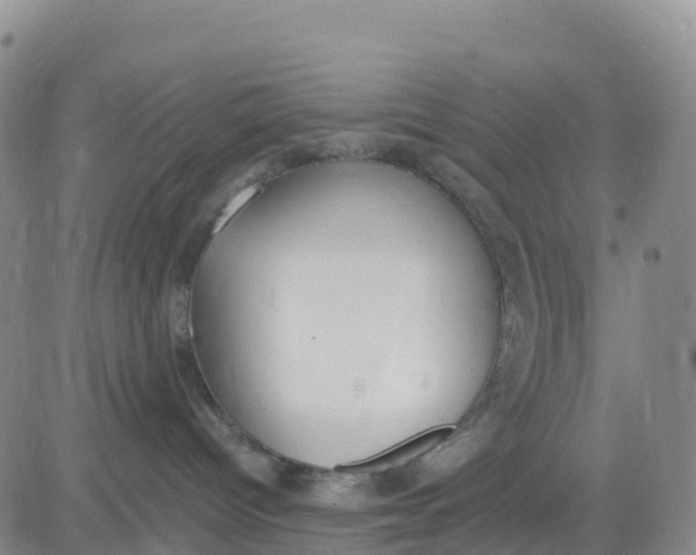 X0000080670096200612301411