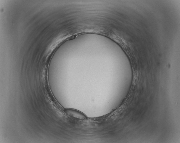 X0000080670098200612301410