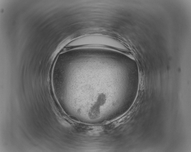 X0000080670099200612301410