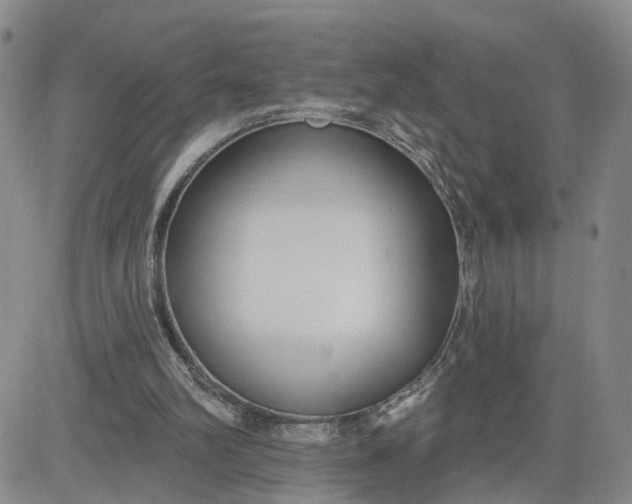 X0000080670102200612301410