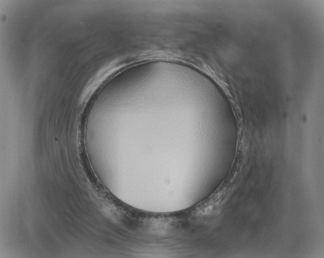 X0000080670103200612301410