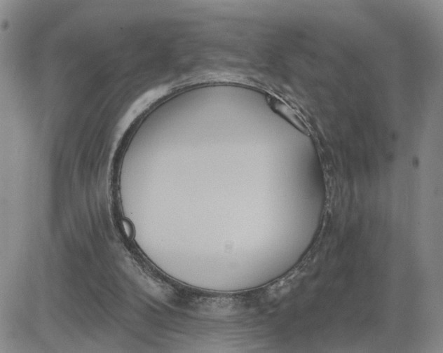 X0000080670104200612301410