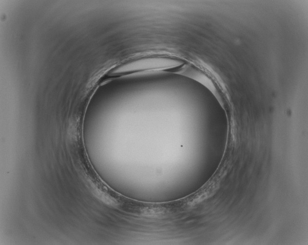 X0000080670105200612301410