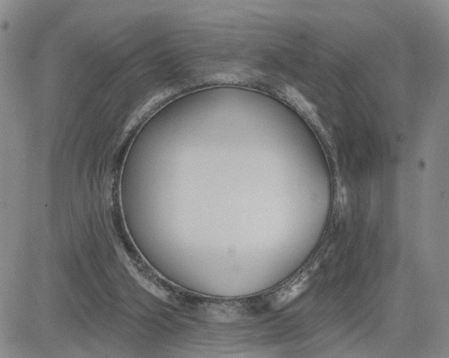 X0000080670106200612301410