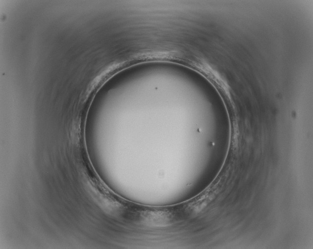 X0000080670107200612301410