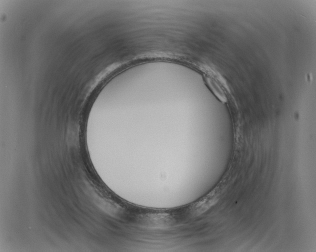 X0000080670108200612301410