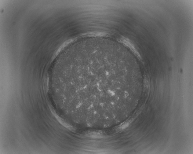 X0000080670110200612301410