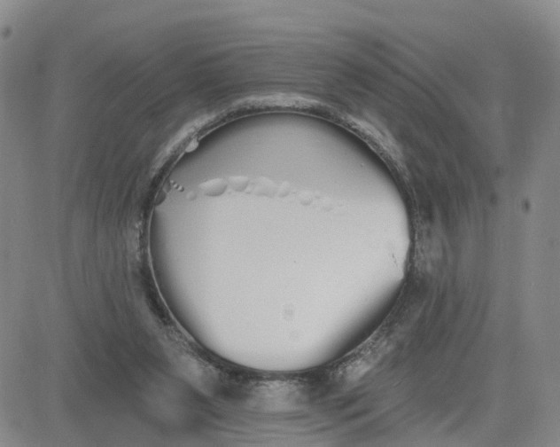 X0000080670111200612301410