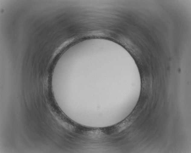 X0000080670112200612301410