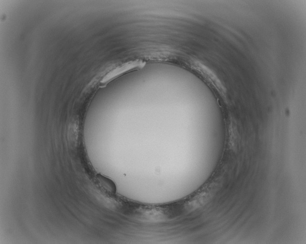 X0000080670113200612301410