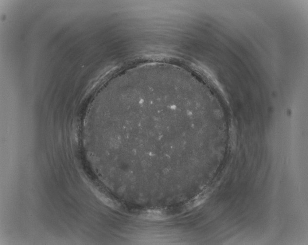 X0000080670114200612301410