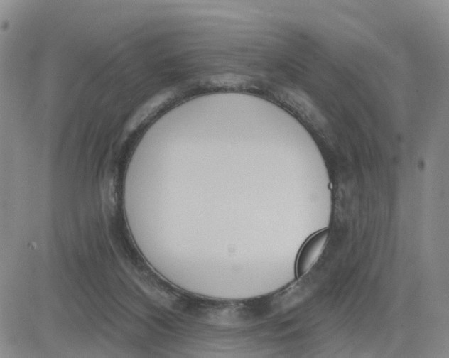 X0000080670116200612301410