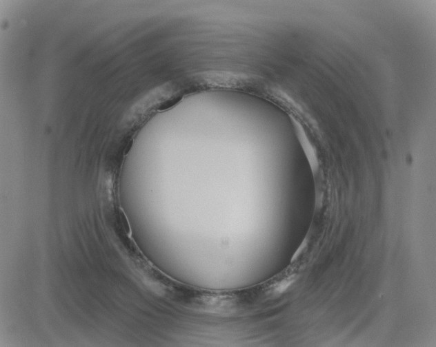 X0000080670117200612301410