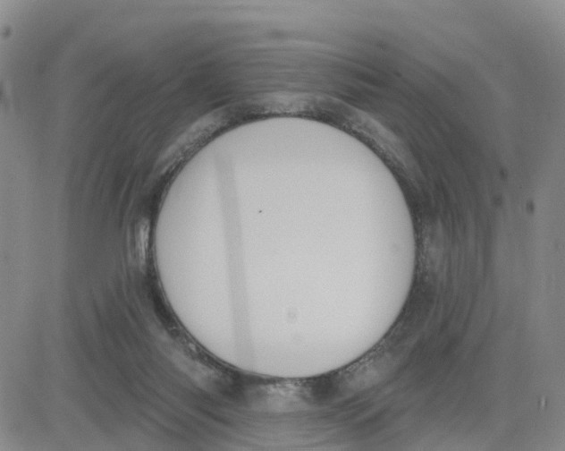 X0000080670118200612301410