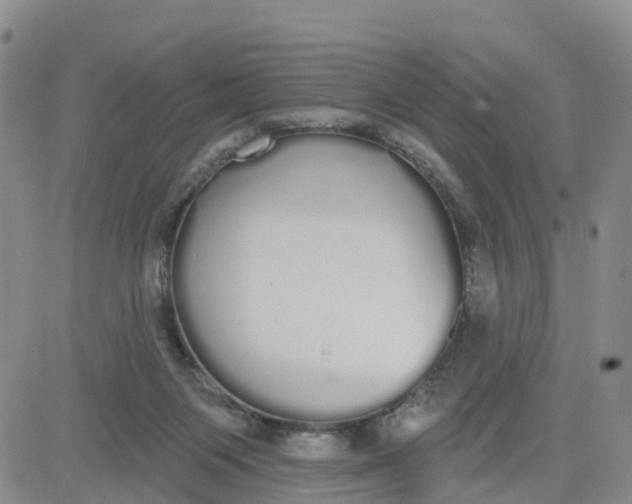 X0000080670119200612301409