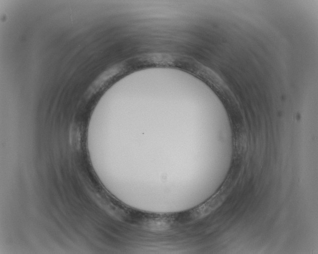 X0000080670120200612301409