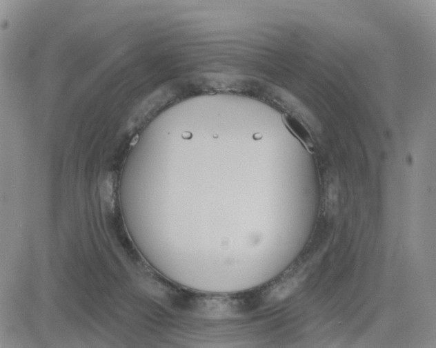 X0000080670121200612301409