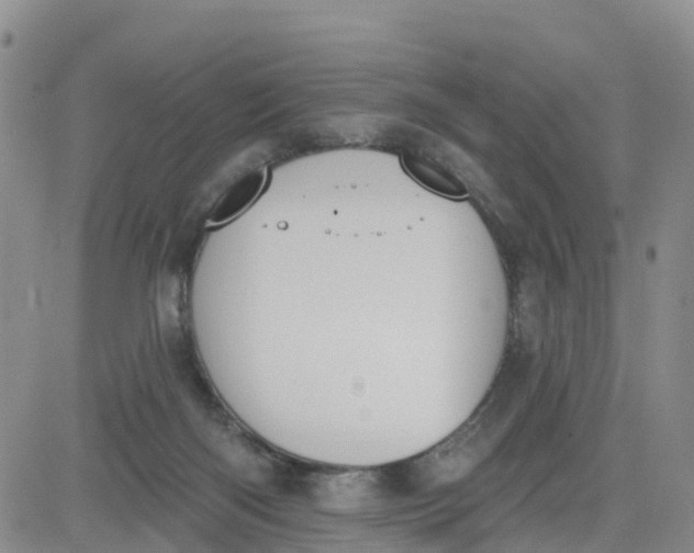 X0000080670122200612301409