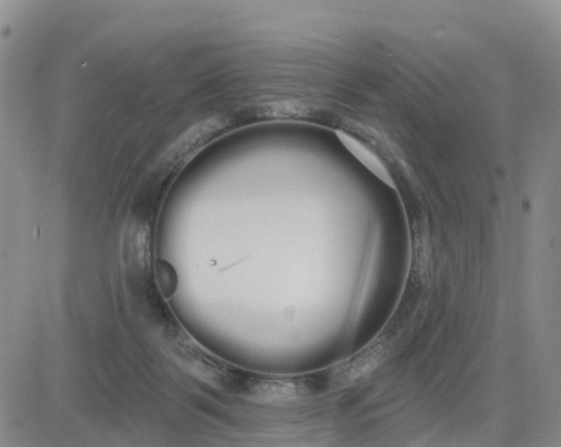 X0000080670123200612301409