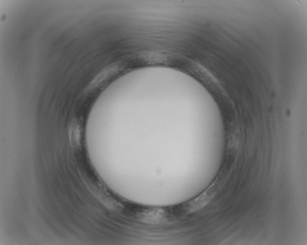 X0000080670124200612301409