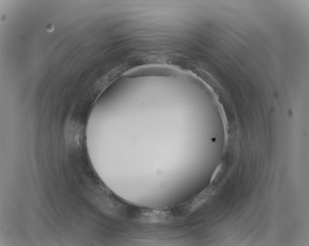 X0000080670125200612301409