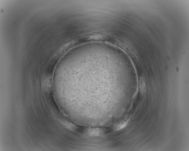 X0000080670127200612301409