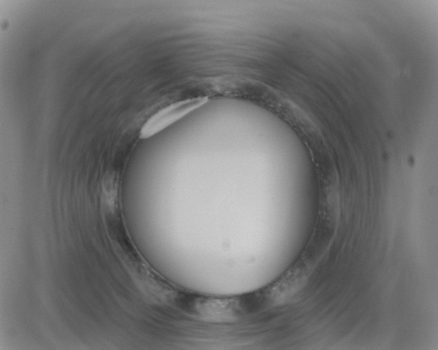 X0000080670129200612301409