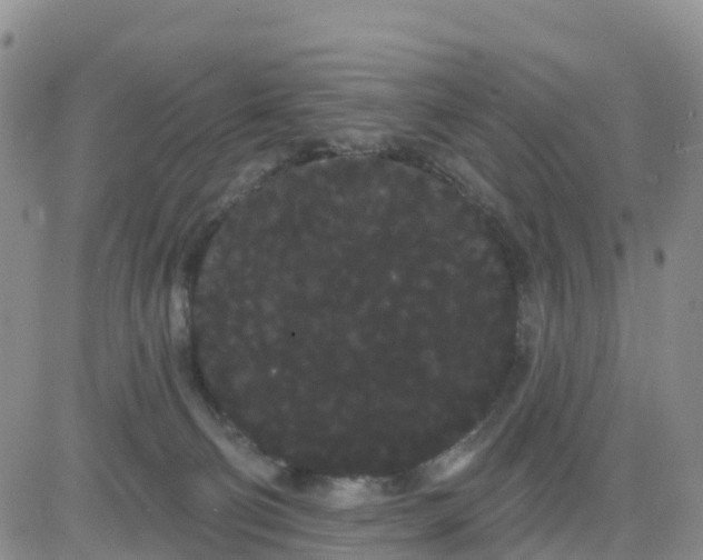 X0000080670130200612301409