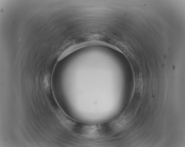 X0000080670131200612301409