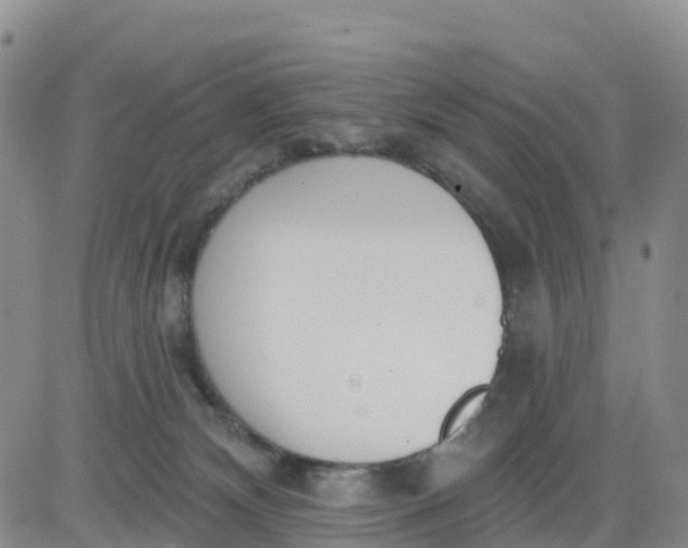 X0000080670132200612301409