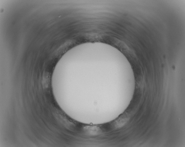 X0000080670133200612301409