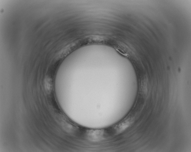 X0000080670135200612301409