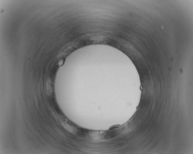 X0000080670136200612301409