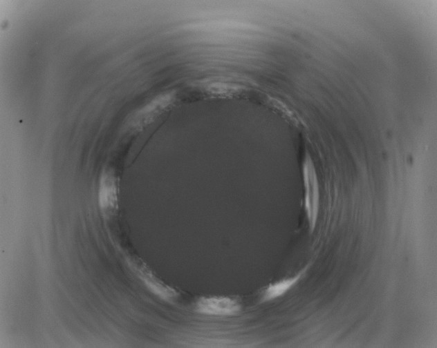 X0000080670137200612301409