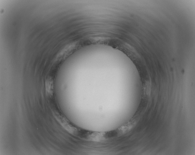 X0000080670138200612301409