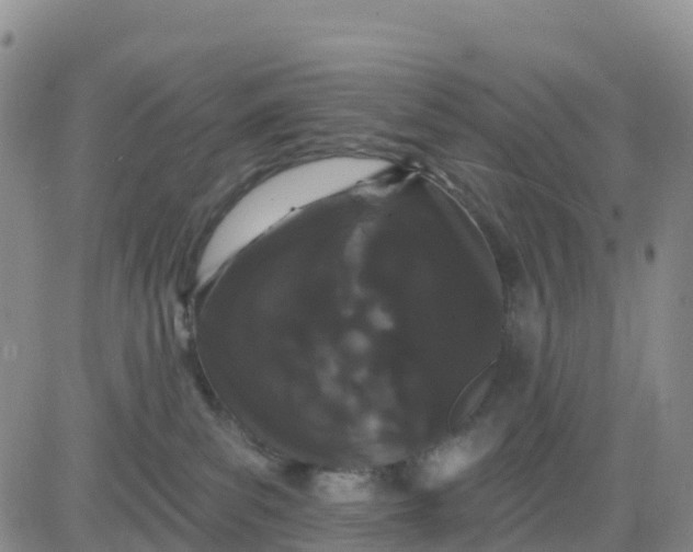 X0000080670139200612301409