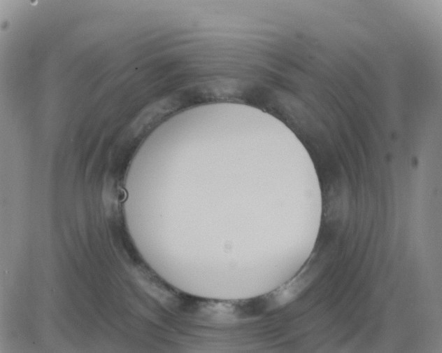 X0000080670140200612301409