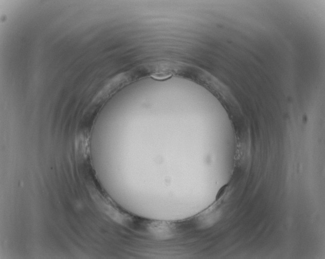 X0000080670142200612301409