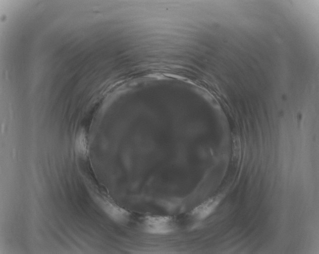 X0000080670143200612301409