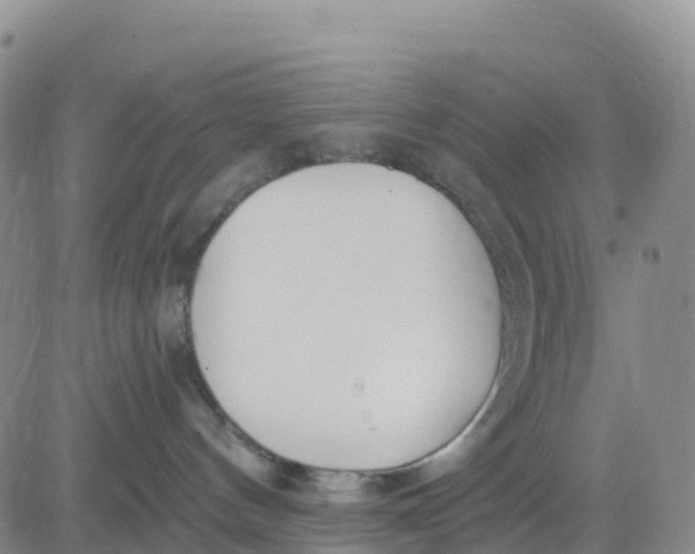 X0000080670144200612301409