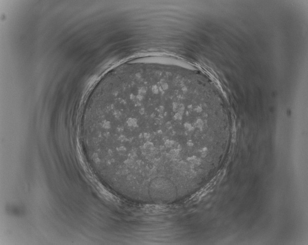 X0000080670145200612301408