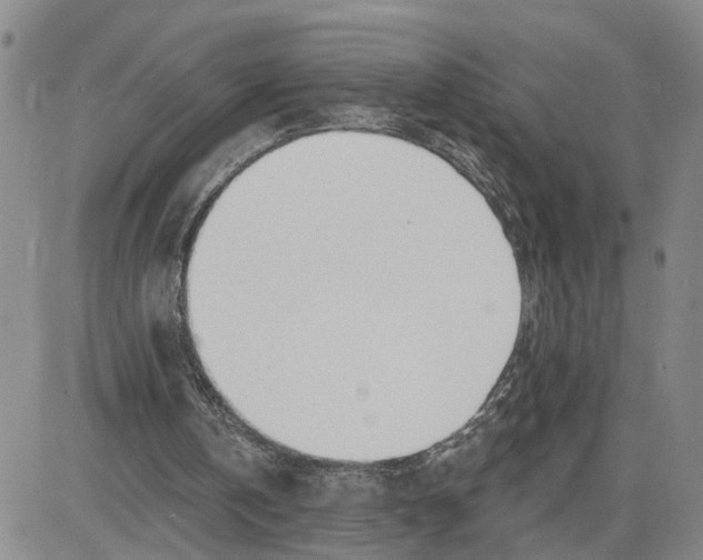 X0000080670146200612301408