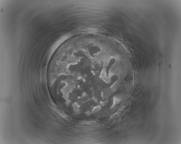 X0000080670147200612301408