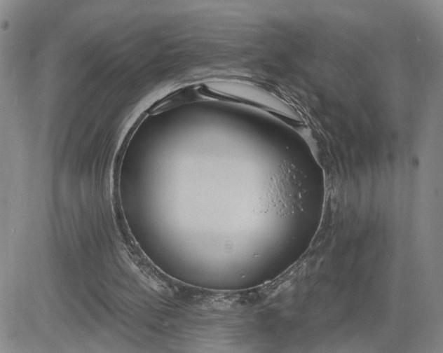 X0000080670148200612301408