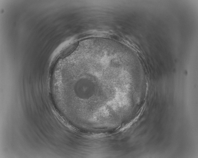 X0000080670149200612301408