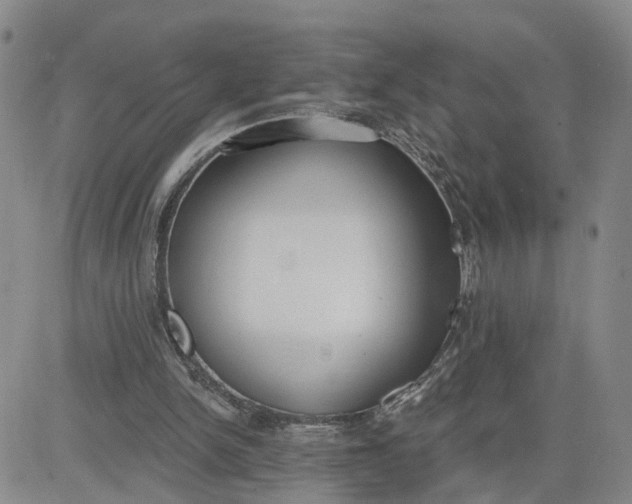 X0000080670150200612301408