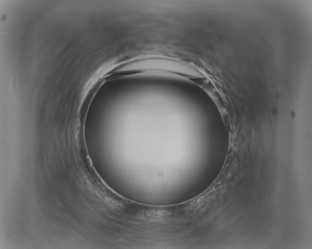 X0000080670152200612301408